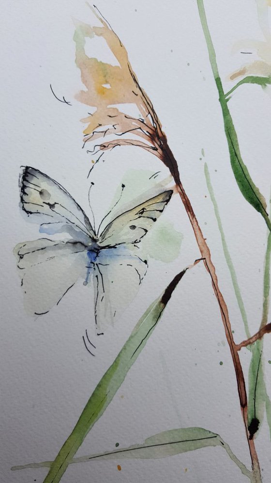 Haiku with butterfly. Fragile moment