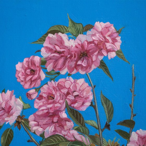 photorealism - cherry blossoms