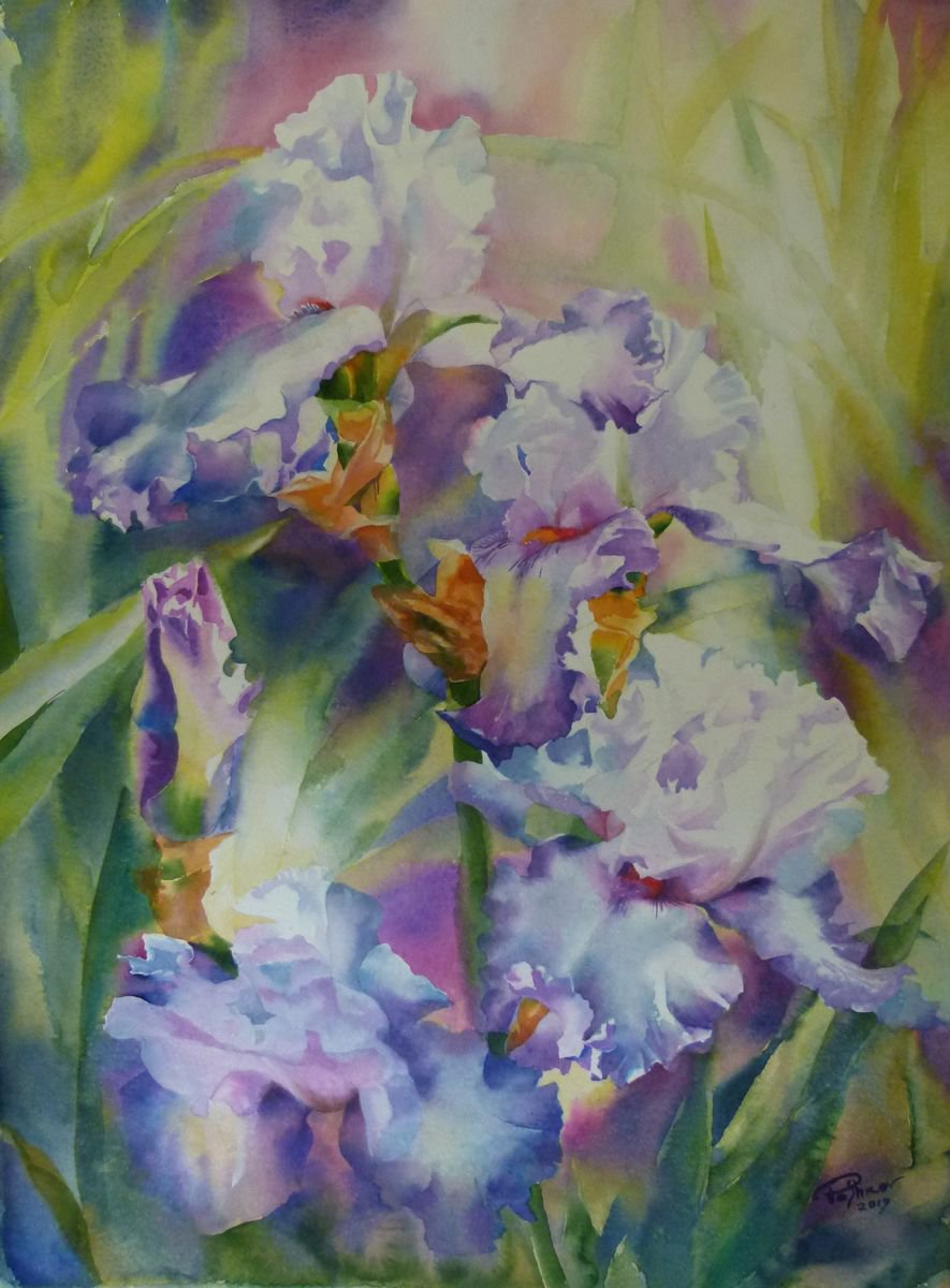 Delicate irises by Yuryy Pashkov