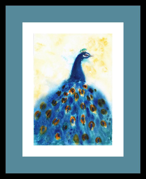 Proud as a Peacock - Flaunt it if you have it  Archiival Limited Edition Prints