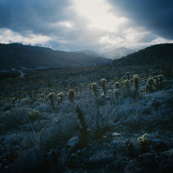 Evening Storm, Anza Borrego