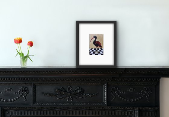 Bird portrait of black Ibis on a chessboard - Gift idea for bird lover