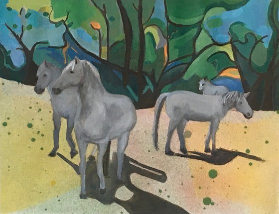3wild horses at Somme