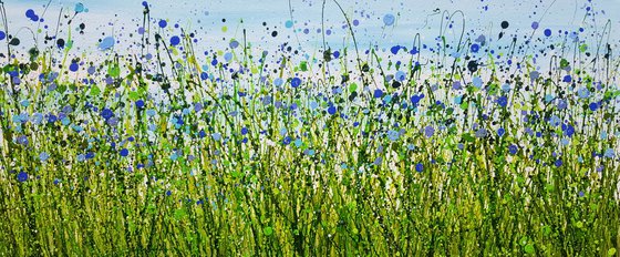 Wild Bluebells