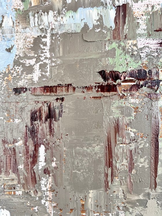 Rays in the pine forest