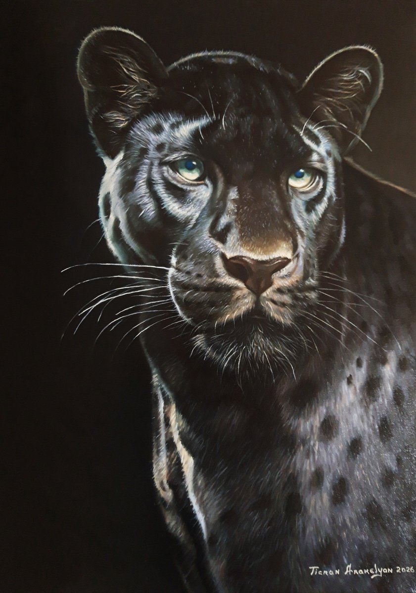 Photorealistic Oil Painting , Wild Majesty By Tigran Araqelyan, 20 X 28, Artwork For Sale On Artfinder