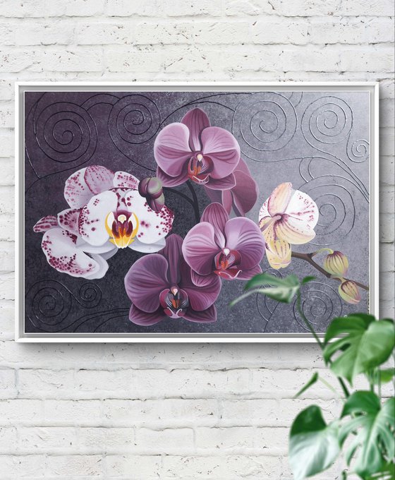 Purple Orchids