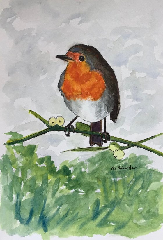 Robin on mistletoe