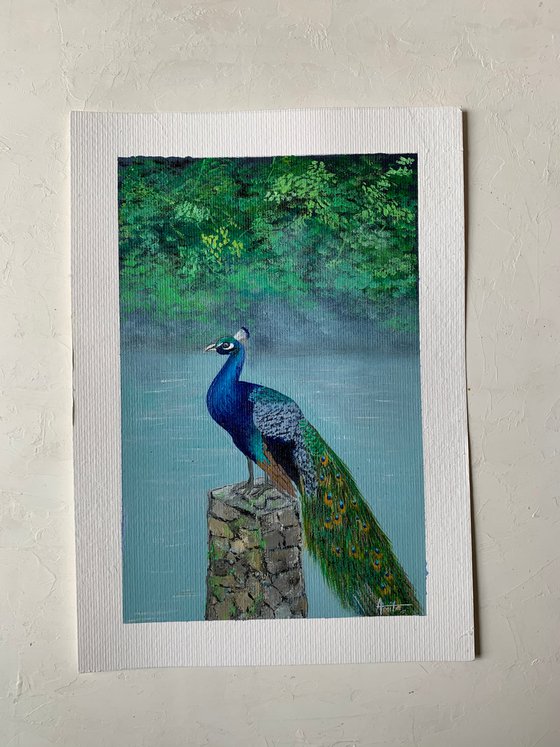 Peacock! A4 size Painting on paper