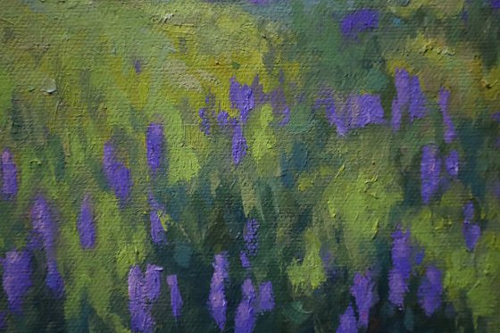 Spring with Lupines