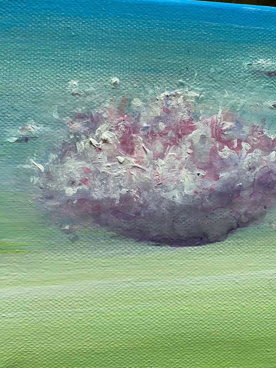 CLOUD SERIES: LIMELIGHT