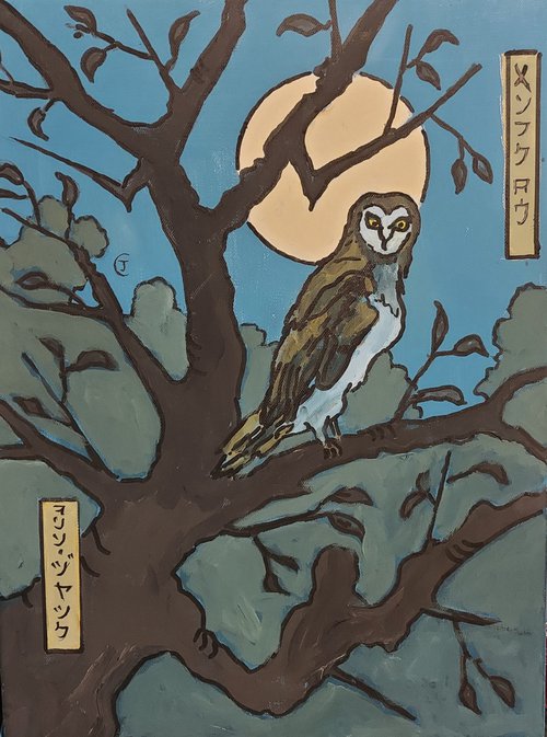 barn owl in tree by Colin Ross Jack