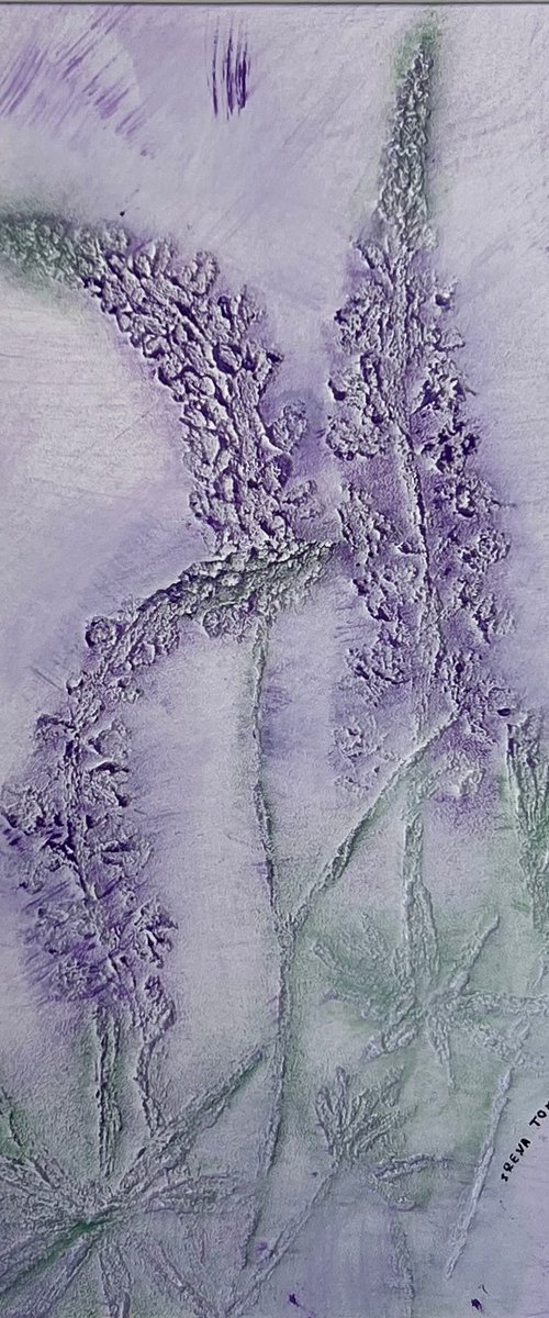 Lupine by IRENA TONE