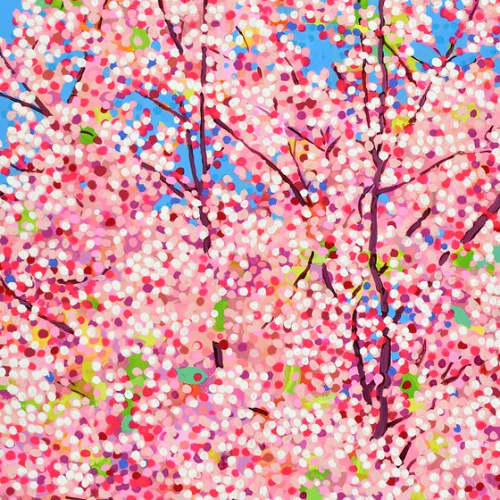 Cherry Blossom #12