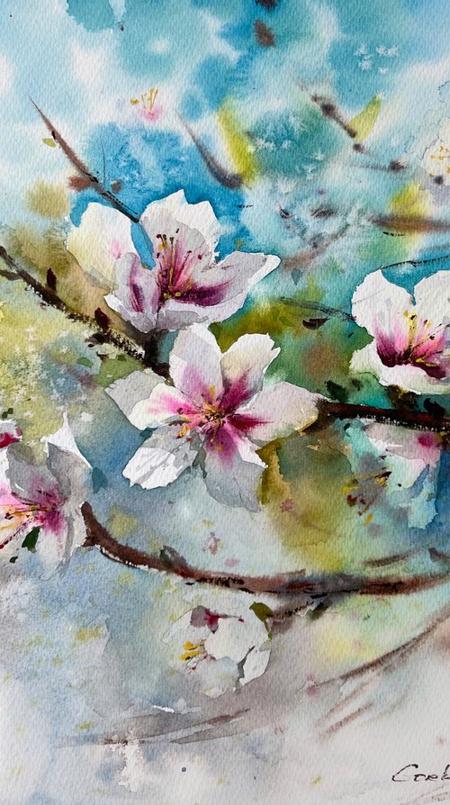 Almond flowers #6 by Eugenia Gorbacheva