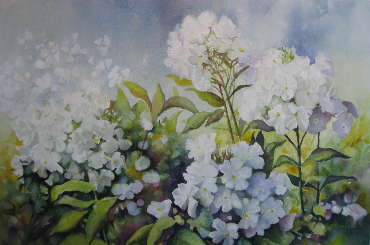 Impressionistic Botanical Watercolour By Elena Oleniuc, 22 X 15, Blooming Summer Day, Original Artwork