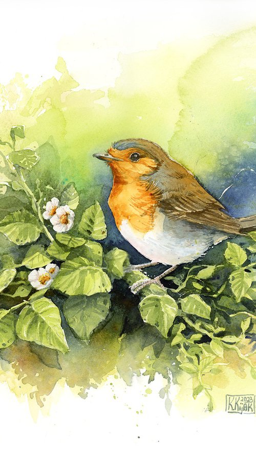 Robin in April greenery by Karolina Kijak
