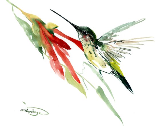 Hummingbird art