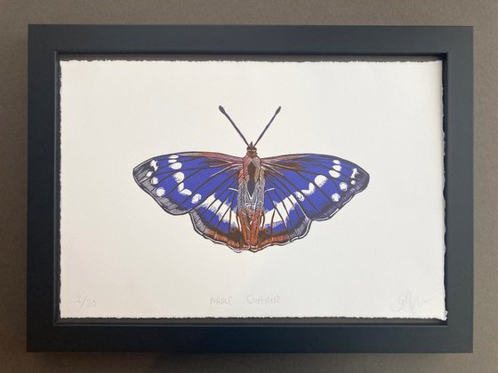 Purple Emperor