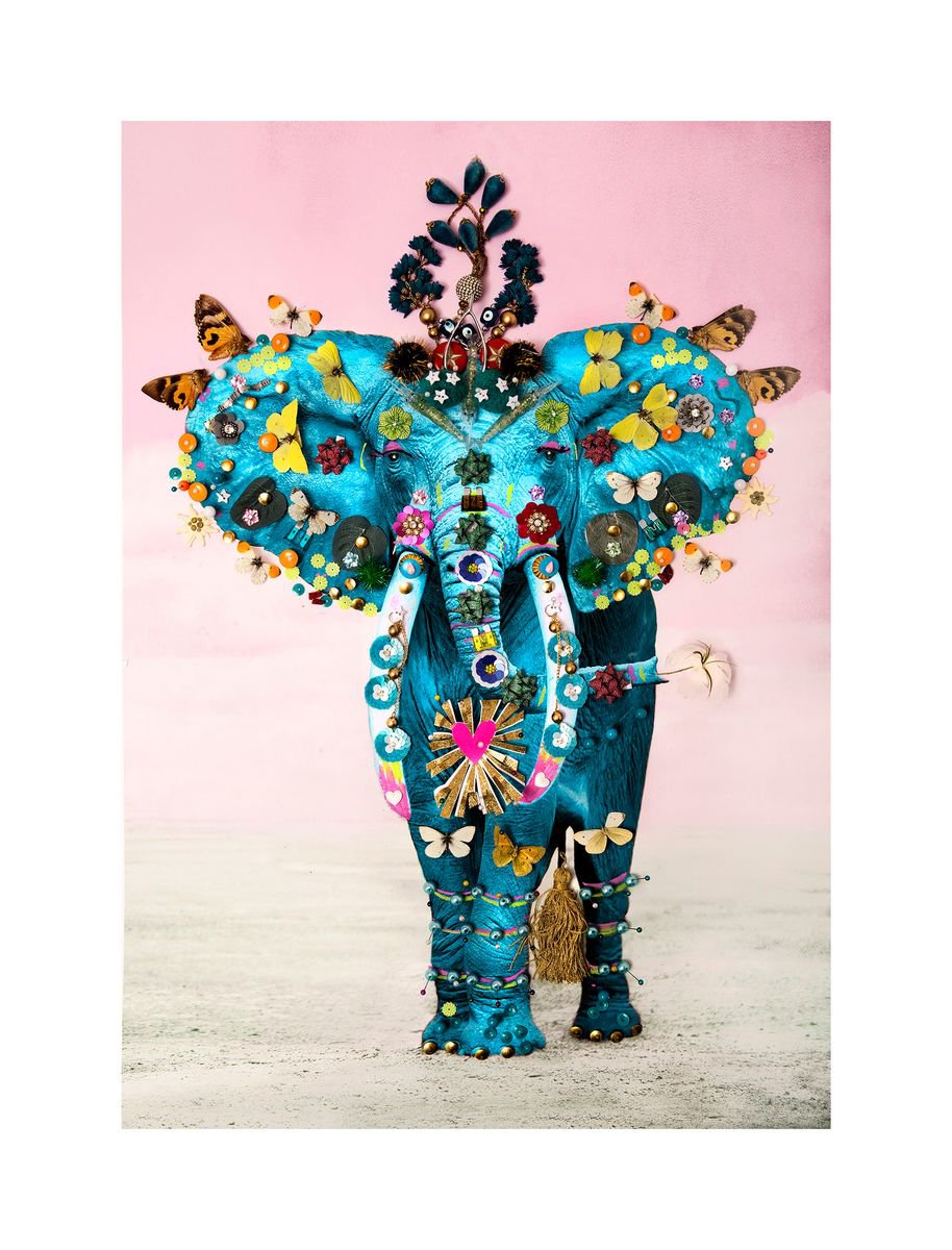 Urban And Pop Animal Photograph By B-Brown & Scheinmann, 22 X 28, Teal Elephant, Original Artwork