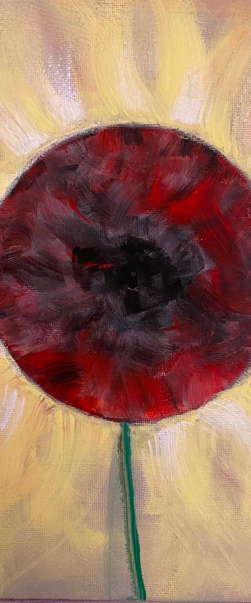 Solar Floral Sun by Samah Kthar
