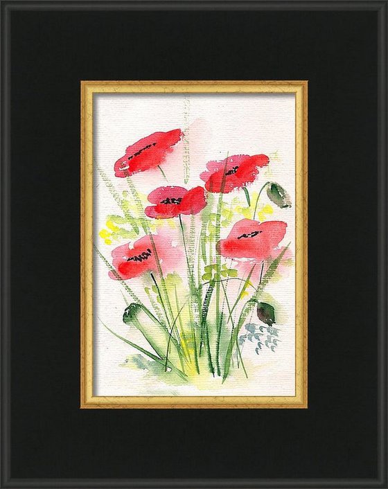 Five Red Poppies