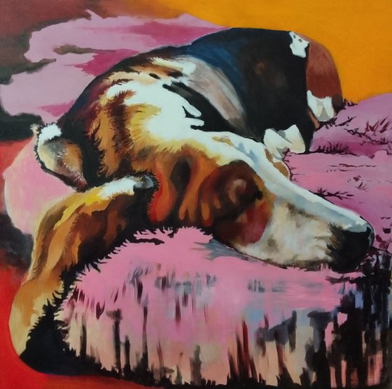 Bassethound