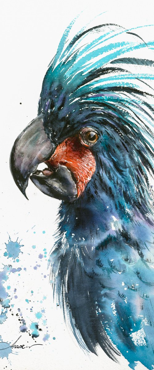 Parrot by Eve Mazur