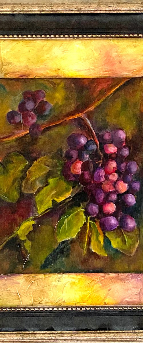 Grapes on the Vine Realistic oil painting 11x14 fully framed by Mary Gullette