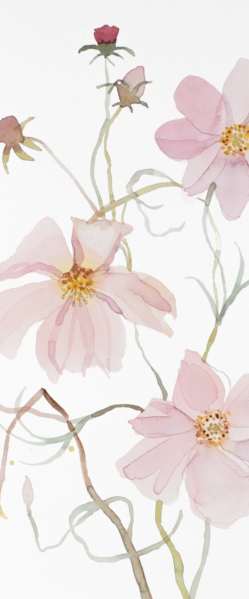 Cosmo No. 8 by Elizabeth Becker