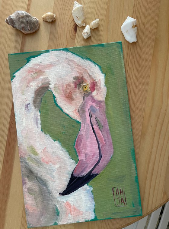 Flamingo