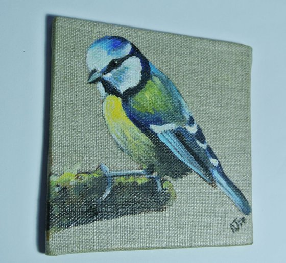 Blue tit Miniature painting, Bird Artwork, Framed and Ready to Hang