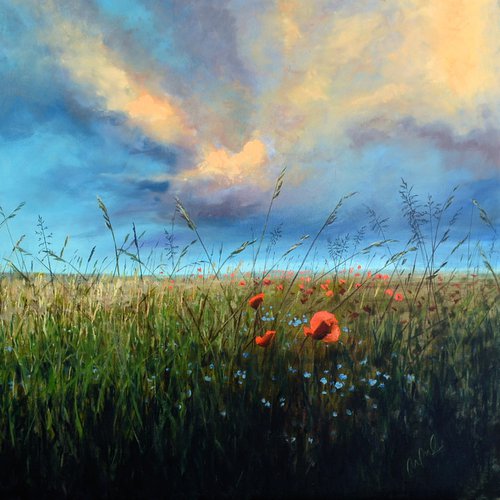 Early Evening Meadow by JON PAUL WILSON