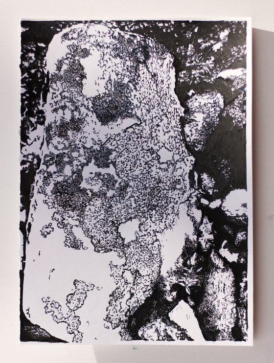 Arctic lichens study