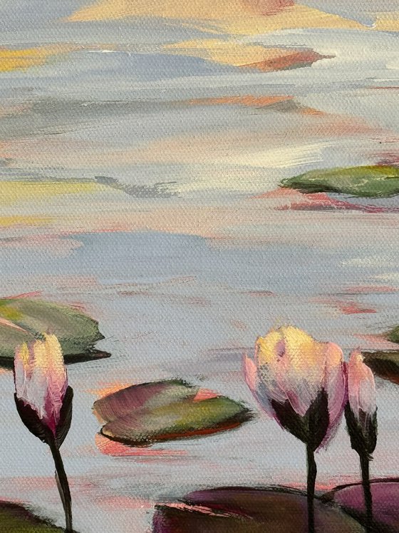 Water Lilies Land 1