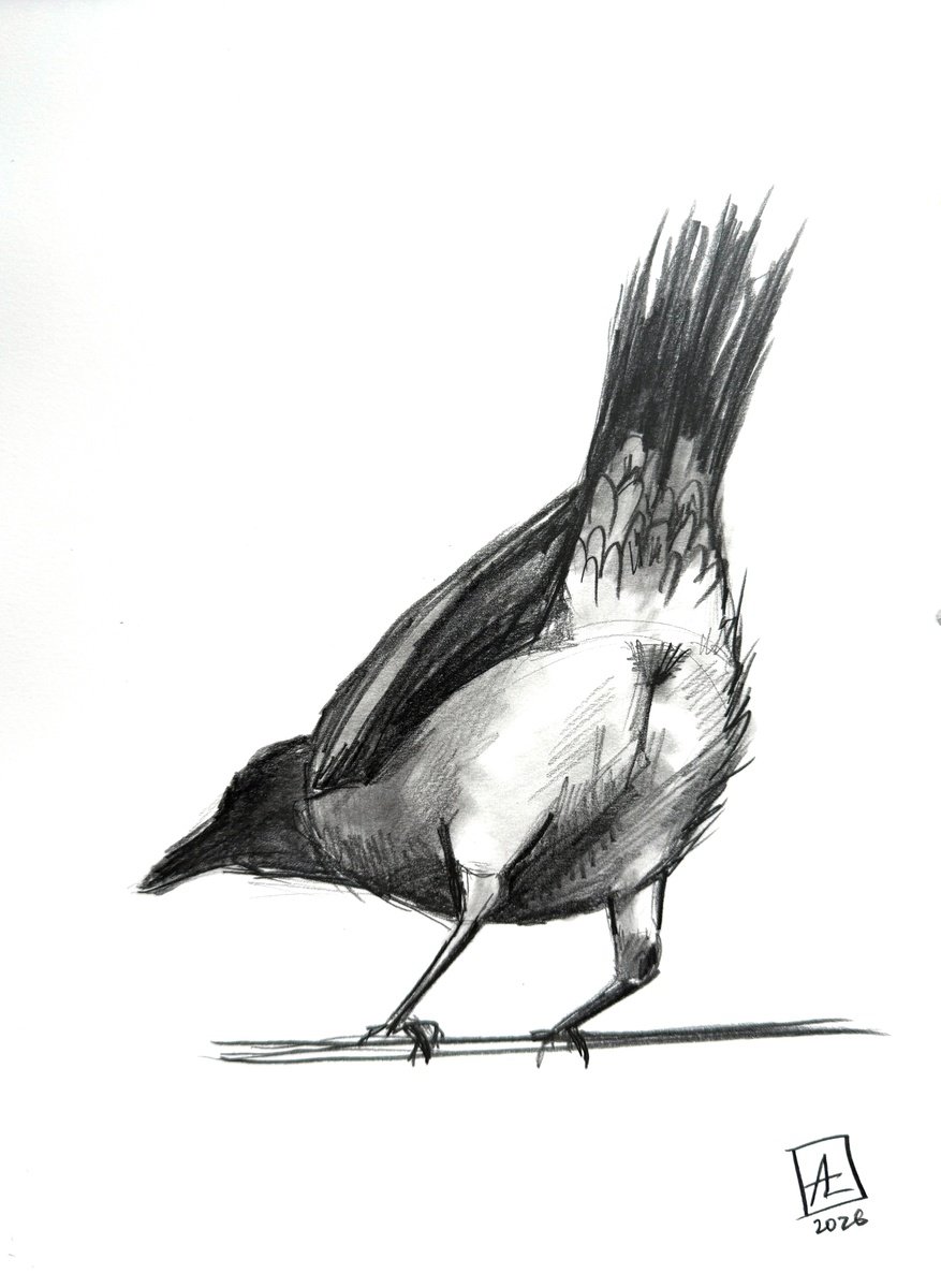 Impressionistic Pencil Drawing , One Crow Adventures Ii By Anna Lyashenko, 8 X 11, Artwork For Sale On Artfinder