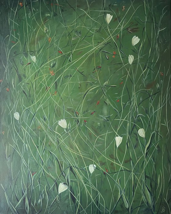 Where Wild Tulips Grow