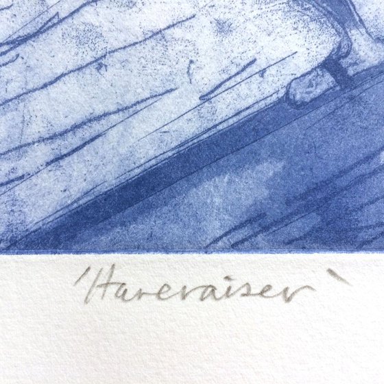 Hareraiser, Edition 39/40