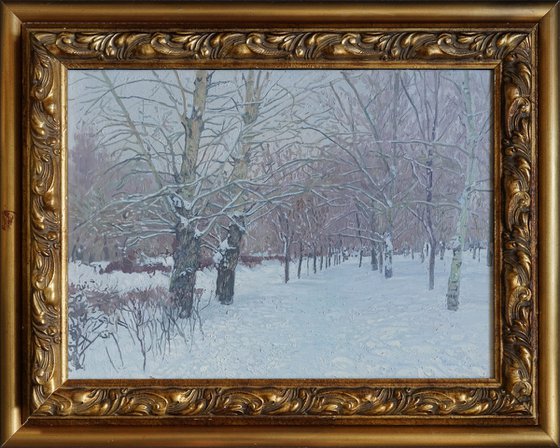 Snow-covered boulevard in Maryino