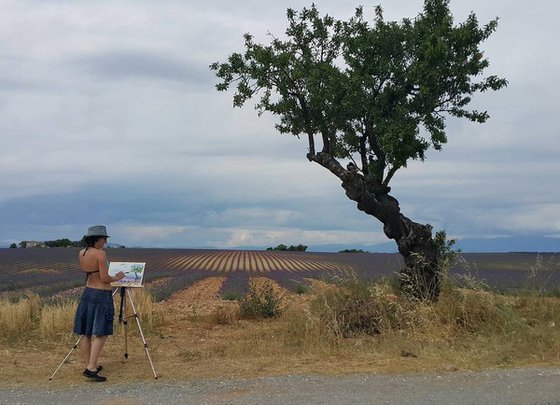 Landscape  in Provence. Lavender fields #1