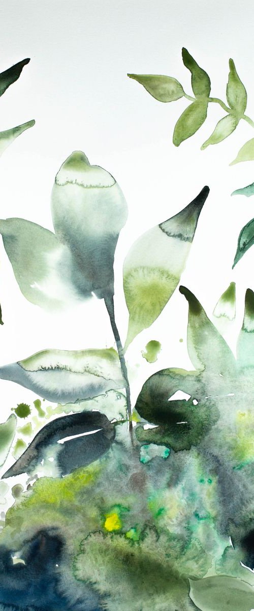 The Woods No. 46 by Elizabeth Becker