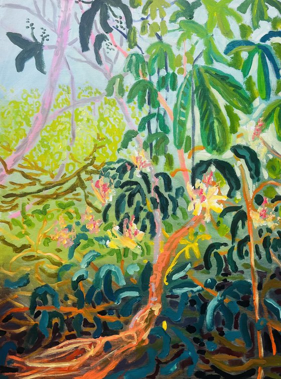 Rhodedendron in Dartlands