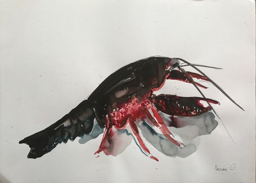 Lobster by Olga Pascari