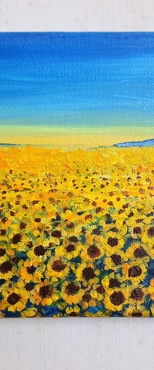 Sunflower fields, Sunflowers for peace by Asha Shenoy