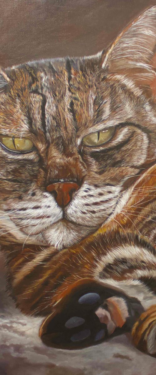 Zora The Great, Portrait of a Grey Cat by Anne Zamo