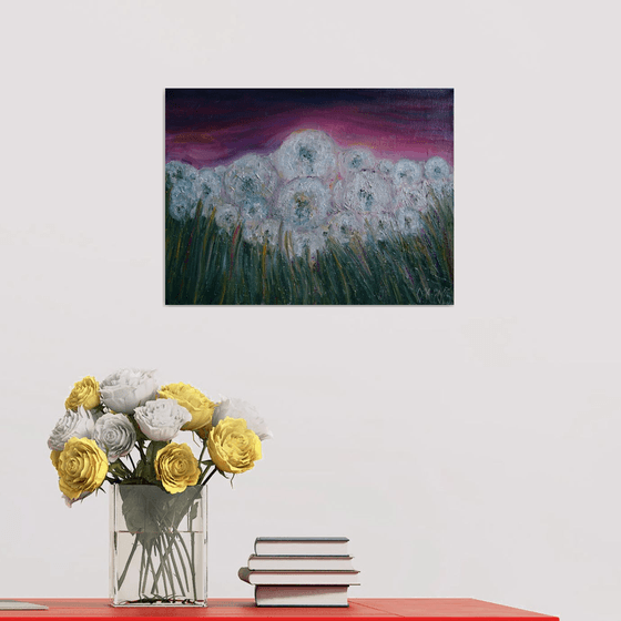Field of dandelions