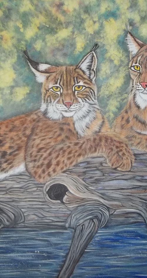 Two Bobcats, Lynxes by Sofya Mikeworth