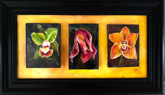 Orchid collection 3 set piece original oils on masonite matted, signed and framed ready to hang