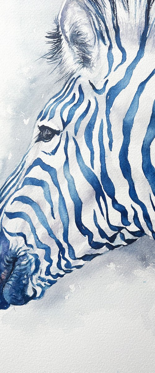 Blue Silence_Zebra by Arti Chauhan
