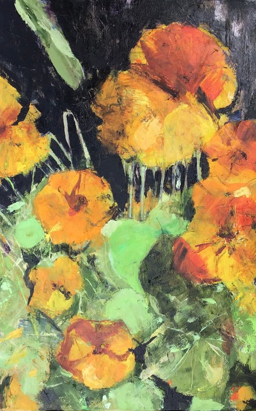 Nasturtiums by Sandra Haney